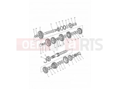 Triumph 1993 TROPHY > 29155 Transmission