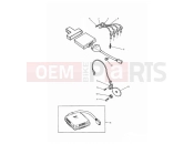Triumph 1996 TROPHY > 29155 Ignition System