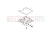 Triumph 2006 SCRAMBLER CARB Sump & Fittings