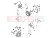 Triumph 2007 SCRAMBLER EFI Starter & Alternator