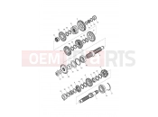 Triumph 2008 SCRAMBLER EFI Transmission