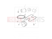 Triumph 2009 SCRAMBLER EFI Service Kit Eng No 456552