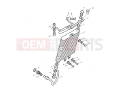 Triumph 2013 SCRAMBLER EFI Oil Cooler