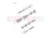Triumph 2001 TT600 Transmission