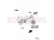 Triumph 2003 TT600 Decals 111990 » » 115673