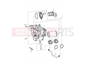 Triumph 2007 THRUXTON 900 CARBS Airbox