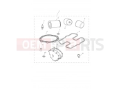 Triumph 2008 THRUXTON 900 EFI Service Kit - Eng No 456552