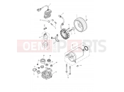 Triumph 2008 THRUXTON 900 EFI Starter & Alternator