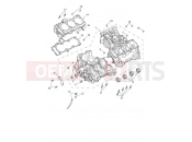 TRIUMPH SPEED TRIPLE 1200 RS Crankcase & Fittings