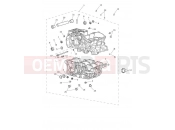 TRIUMPH Tiger 850 Sport Crankcase & Fittings