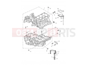 TRIUMPH TIGER 955i 198875 > Crankcase Fixings