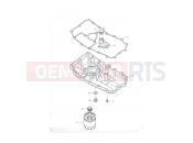TRIUMPH TIGER 955i 198875 > Sump & Fittings