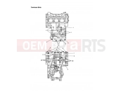Triumph 2006 TIGER 955i 198875 > Crankcase Bolts