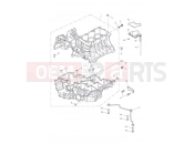Triumph 2007 Tiger 1050 Crankcase Fixings
