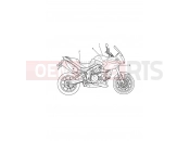 Triumph 2008 Tiger 1050 Decals