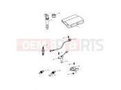 Triumph 2008 Tiger 1050 Engine Management System