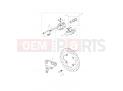 Triumph 2010 Tiger 1050 Rear Brake Caliper & Disc