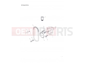 Triumph 2013 Tiger 1050 Oil Pump/Drive