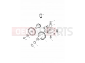 Triumph 2000 DAYTONA 595 / 955i Oil Pump/Drive