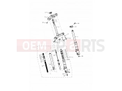 Triumph 2001 DAYTONA 595 / 955i Front Forks & Yokes