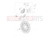 Triumph 2019 STREET CUP Front Brake Caliper & Disc