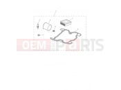 Triumph 2019 STREET CUP Engine Service Kit