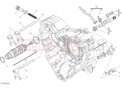 DUCATI 2022 Diavel 1260 S SHIFT CAM - FORK