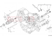 DUCATI 2022 Hypermotard 950 SHIFT CAM - FORK