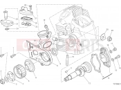 DUCATI 2022 Scrambler 1100 Tribute Pro HORIZONTAL HEAD – TIMING SYSTEM
