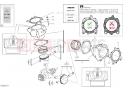 DUCATI XDiavel S CYLINDERS - PISTONS (ASSO WERKE)