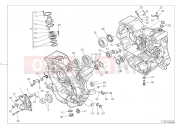 DUCATI 2015 Monster 821 Stripe HALF-CRANKCASES PAIR [MOD:M821 STR]