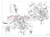 DUCATI 2016 Hypermotard 939 HALF-CRANKCASES PAIR [MOD:HYM 939]