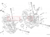 DUCATI 2016 Hypermotard 939 HALF-CRANKCASES PAIR [MOD:HYM 939]