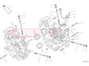 DUCATI 2019 Monster 821 HALF-CRANKCASES PAIR [MOD:M 821]