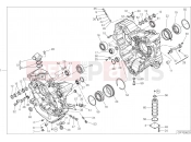 DUCATI 2022 Diavel 1260 HALF-CRANKCASES PAIR