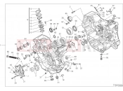 DUCATI 2023 Monster Plus HALF-CRANKCASES PAIR