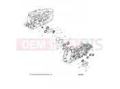 INDIAN CHIEFTAIN ELITE (R05) (N20TCEBB) ENGINE | ENGINE, CRANKCASE BEARINGS - N20TCEBB ALL OPTIONS (200626)