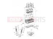 Triumph 2020 Tiger 1200 Desert Cylinder Head & Valves
