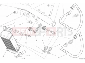 DUCATI 2019 Scrambler Icon OIL COOLER