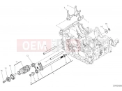 DUCATI Diavel V4 Shift cam and fork