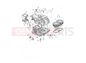 Triumph 2022 Scrambler 1200 XE Crankcase & Fittings