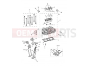 Triumph 2022 Scrambler 1200 XE Cylinder Head & Valves