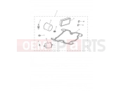 Triumph 2022 Scrambler 1200 XE Engine Service kit