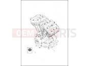 Harley-Davidson 2021 CVO/CUSTOM CVO TRI GLIDE  - FLHTCUTGSE ENGINE ASSEMBLY - Milwaukee-EightÂ® 117 engine