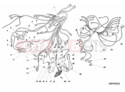 DUCATI 2001 Superbike 996 RS WIRING HARNESS » WIRING HARNESS