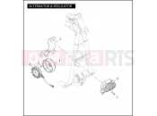 Harley-Davidson 2010 DYNA DYNA LOW RIDER  - FXDL ALTERNATOR & REGULATOR