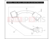 Harley-Davidson 2009 TOURING STREET GLIDE  - FLHX HARNESS, BANK ANGLE SENSOR FOR 2009 MOTORCYCLES