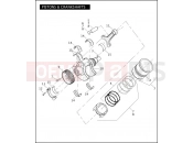 Harley-Davidson 2009 VRSC VRSCAW V-ROD  - VRSCAW 105 PISTONS & CRANKSHAFTS