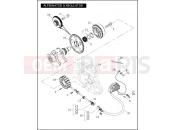 Harley-Davidson 2006 VRSC VRSCD NIGHT ROD  - VRSCD 105 ALTERNATOR & REGULATOR