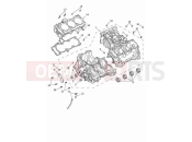TRIUMPH Tiger 1200 GT Pro Crankcase & fittings